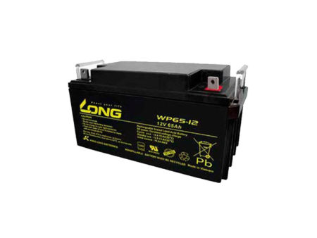 باتری یو پی اس لانگ 65 آمپر LONG WP 12V-65A UPS battery